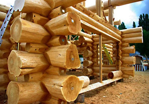 Выбор древесины