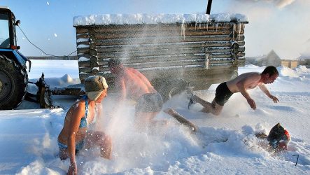 Гусиный шаг: Искусство создания прочных дорожек и тропинок