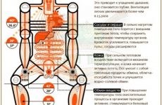 Как заменить поликарбонат в теплице: шаг за шагом