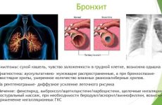 Как выбрать краску для ОСБ снаружи: секреты и советы