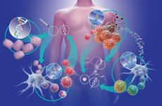 Что такое цитокиногенетическая терапия?