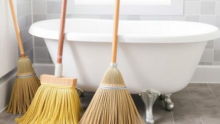 Веники для бани: виды и заготовка – как выбрать и правильно подготовить