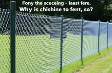 Забор из сетки рабицы: почему он встречается повсюду и не теряет популярности