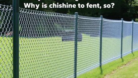 Забор из сетки рабицы: почему он встречается повсюду и не теряет популярности