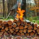 Бюджетные дрова: как не переплатить и все сделать правильно