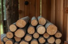 Дрова из ольхи для бани: сладковатый запах и практическая польза
