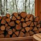 Дрова из берёзы для бани: классика и почему она не сдаёт позиций