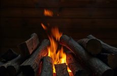 Дрова из дуба для бани: жар и аромат, как правильно выбирать