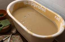Сапропелевая баня: лечебная грязь, которая лечит изнутри
